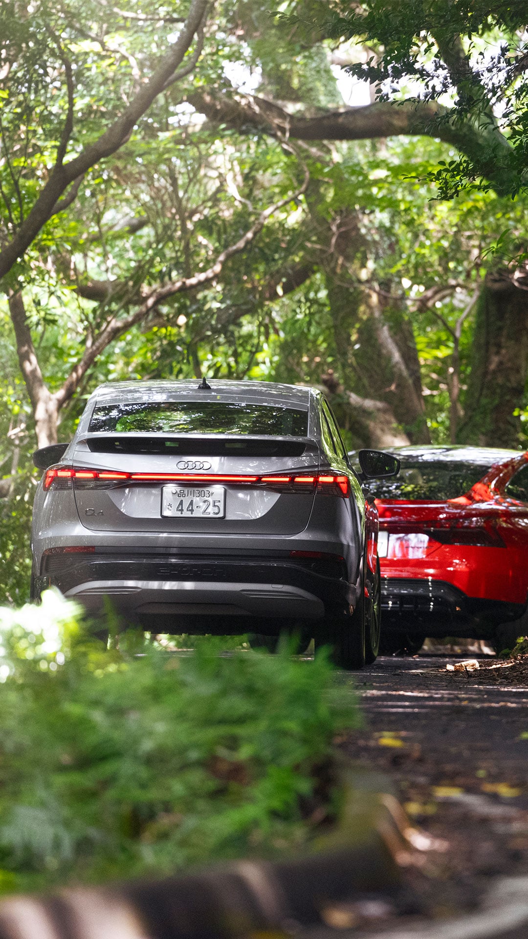 Audi RS e-tron GT、Audi Q4 e-tron