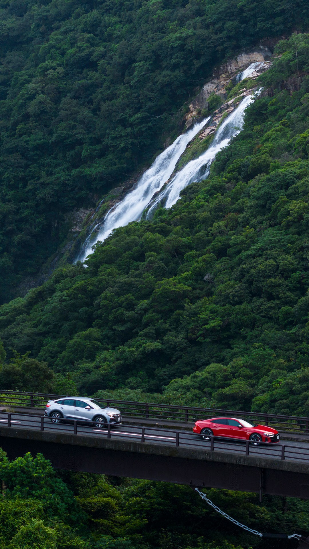 Audi RS e-tron GT、Audi Q4 e-tron